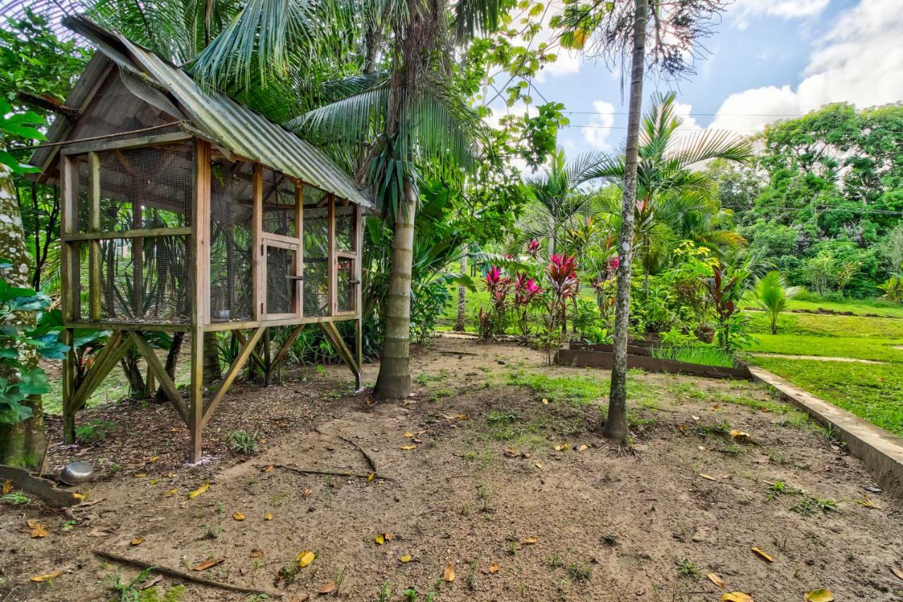Mahogany Hall San Ignacio Ngoại thất bức ảnh