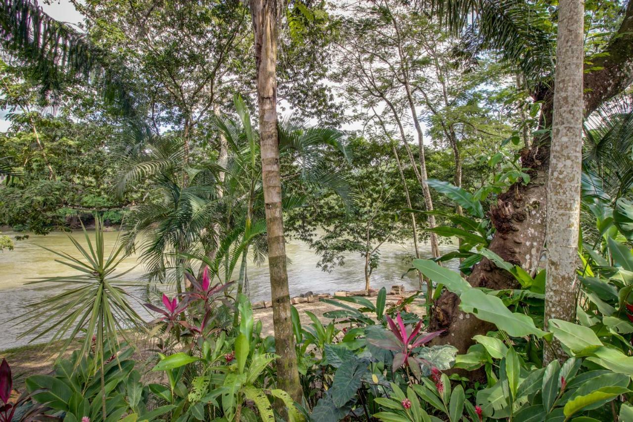 Mahogany Hall San Ignacio Ngoại thất bức ảnh